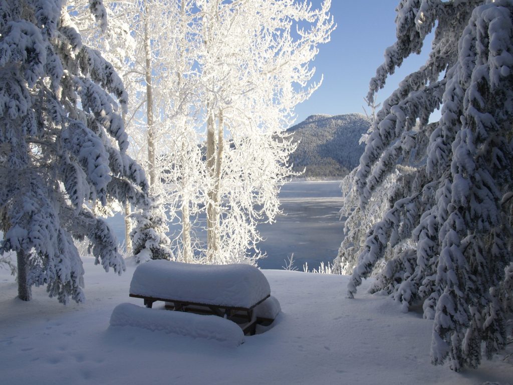 Красивая зима фото 19
