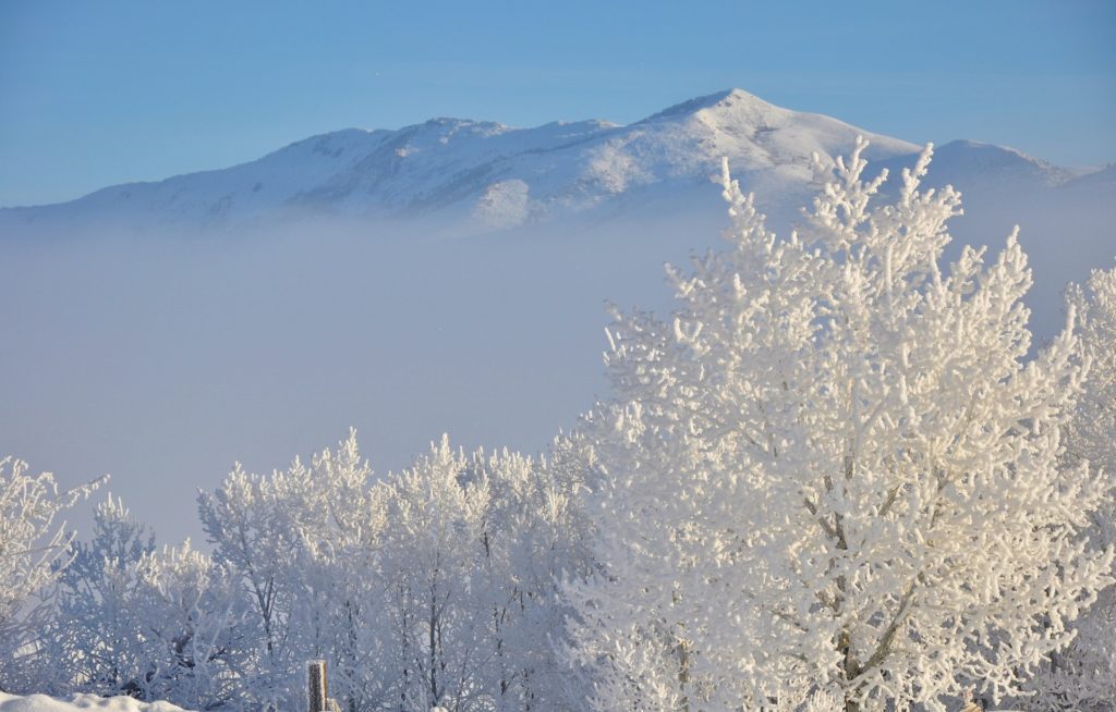 Красивая зима фото деревья в снегу горы