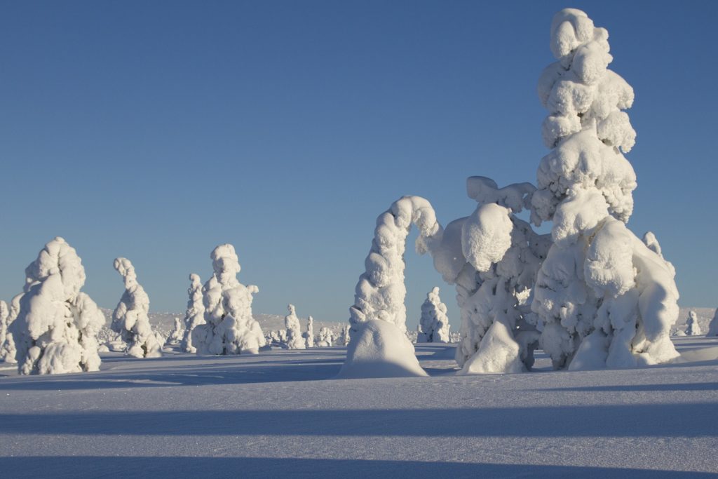Красивая зима фото лапландия 2