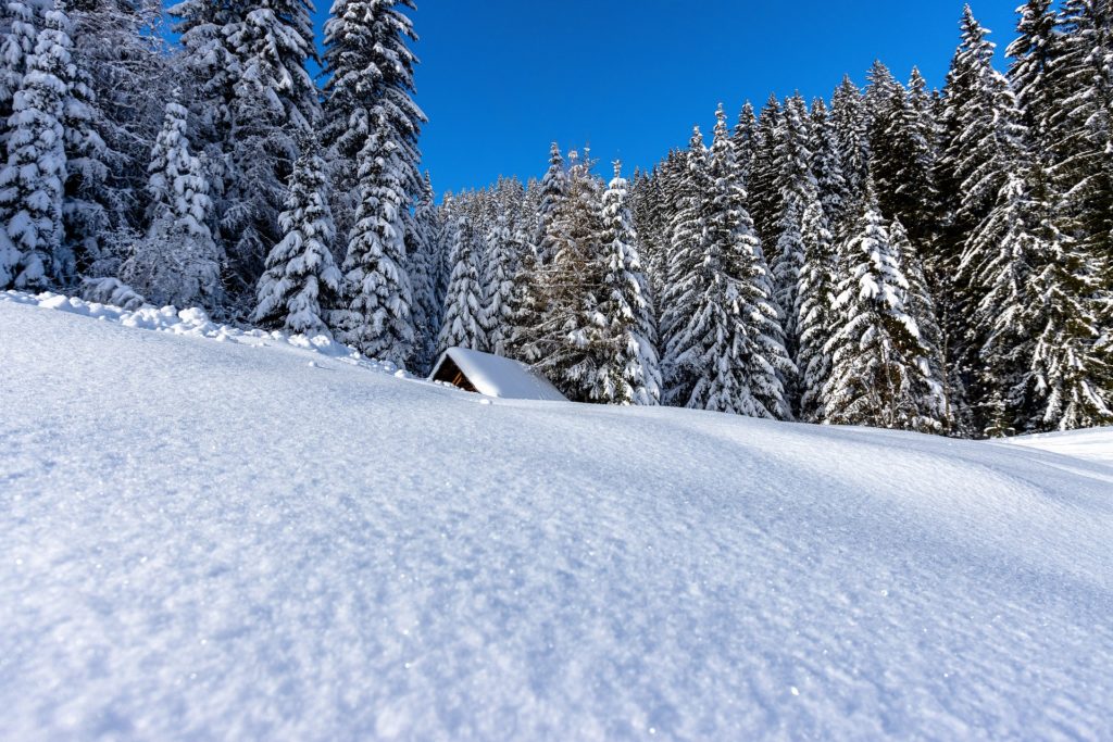 Красивая зима фото лес горы домик