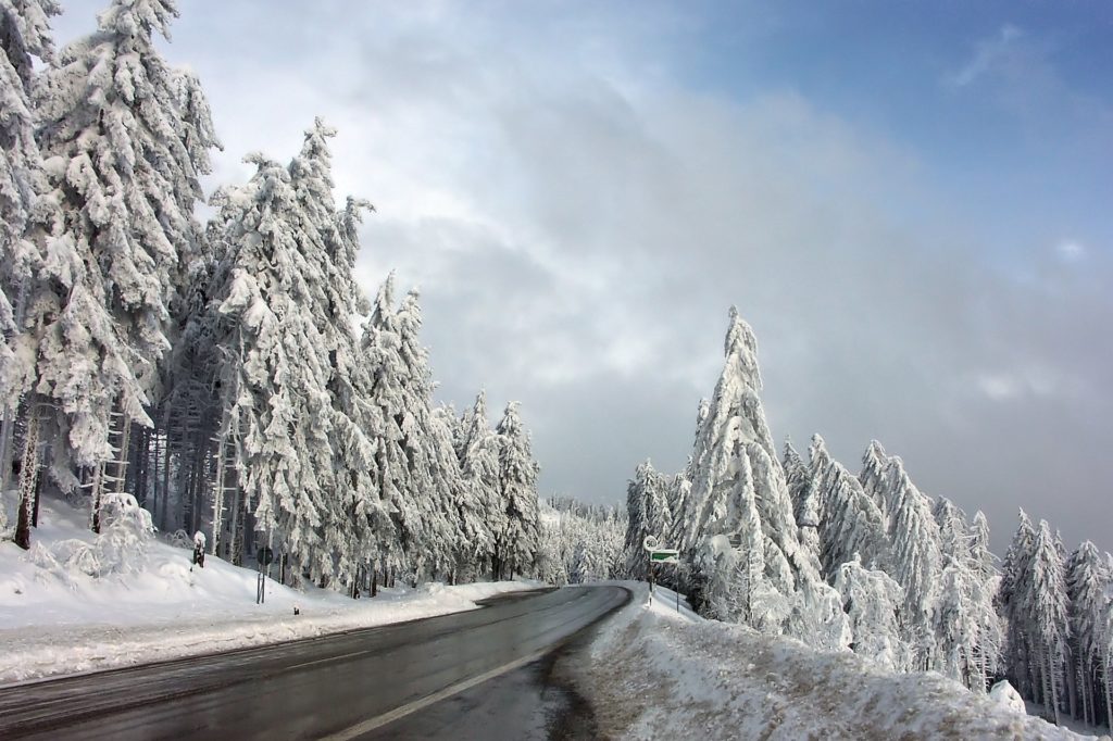 Зима фото дорога в лесу