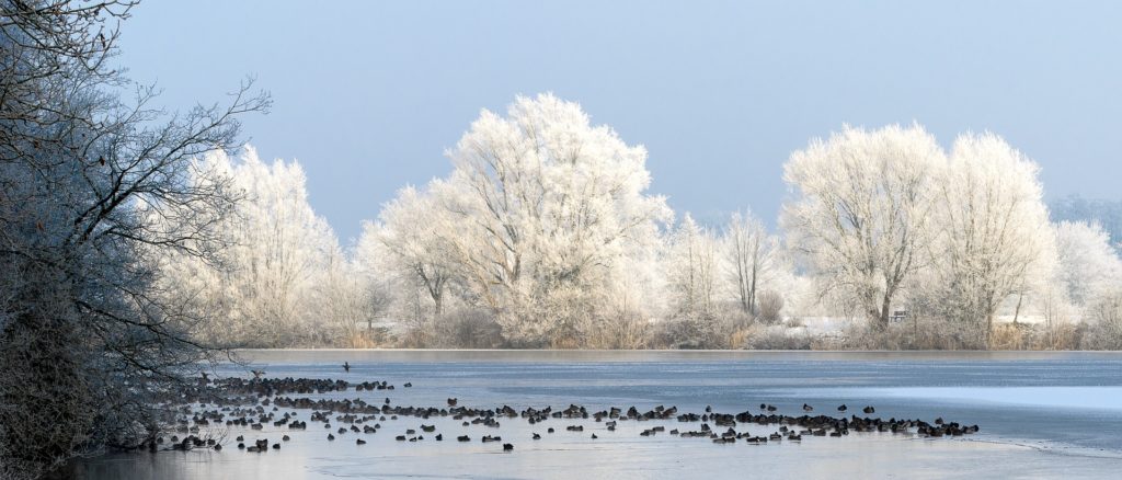 Зима фото озеро 1